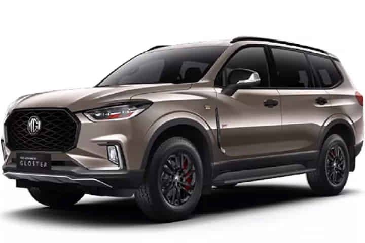 Gloster in Deep Golden