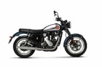 BSA Gold Star 650 Highland Green colour Bikes BSA Gold Star 650 Highland Green colour Bikes