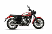 BSA Gold Star 650 Insignia Red colour Bikes BSA Gold Star 650 Insignia Red colour Bikes