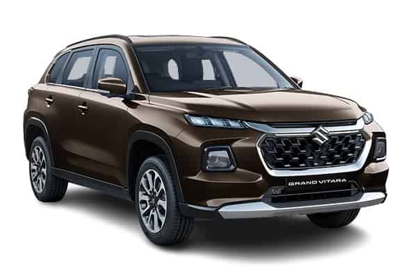 Grand Vitara undefined in  Chestnut Brown