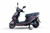 Greta Electric Harper Burgudy colour 