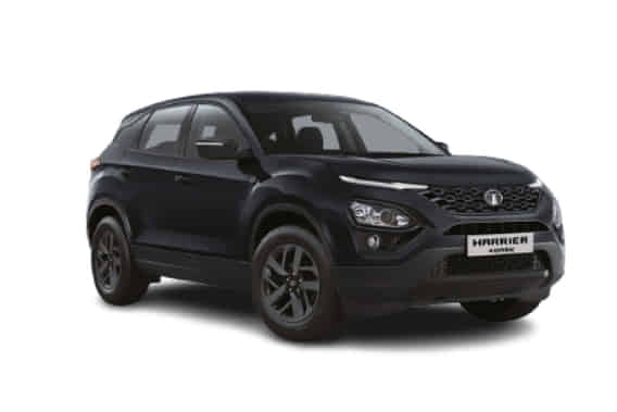 Harrier 2019-2020 in Oberon Black Harrier 2019-2020 in Oberon Black