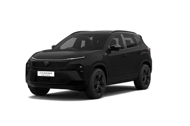 Harrier in Oberon Black