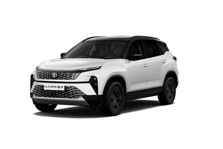 Pristine White DT Pristine White DT