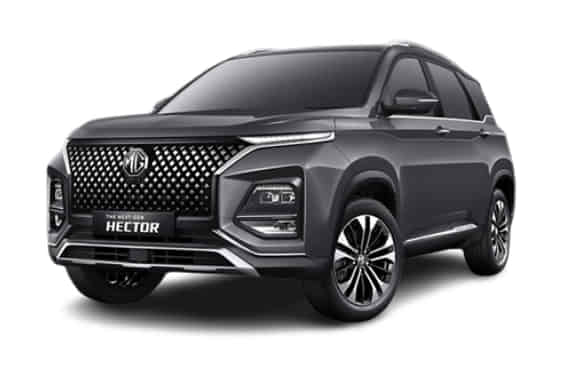 Hector 2023-2025 in Havana Grey