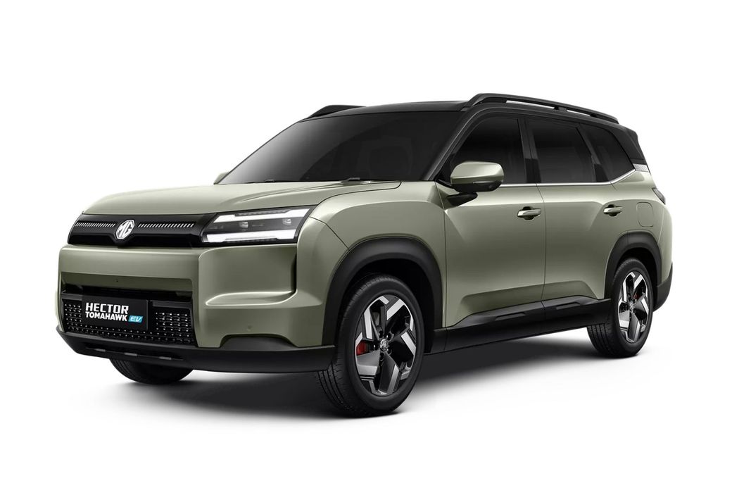Hector Tomahawk EV undefined in Khaki Green + Mono Black