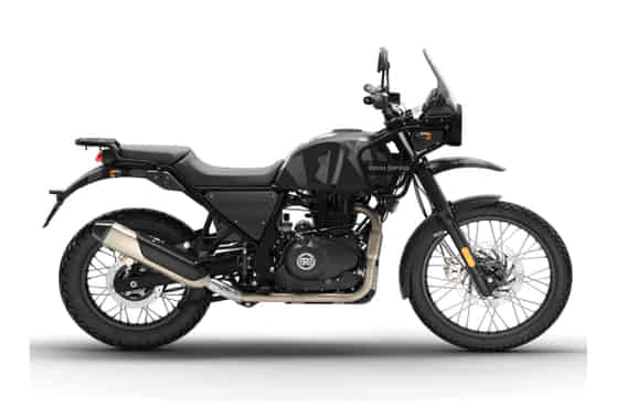 Himalayan in Sleet Black Himalayan in Sleet Black
