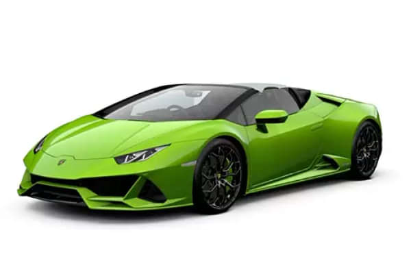 Verde Mantis