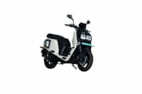 River Indie Winter White colour Scooters
