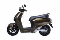 Bounce Infinity E1 Wild Brown colour 