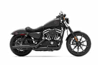 Harley-Davidson Iron 883 Black Denim colour  Harley-Davidson Iron 883 Black Denim colour