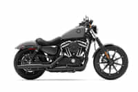 Harley-Davidson Iron 883 Gunship Gray colour  Harley-Davidson Iron 883 Gunship Gray colour