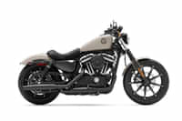 Harley-Davidson Iron 883 White Sand Pearl colour  Harley-Davidson Iron 883 White Sand Pearl colour
