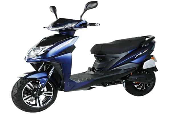 AMO Electric Jaunty in Blue with Black