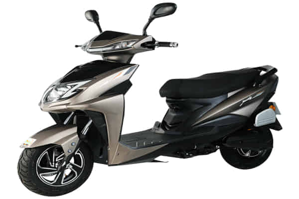 Jaunty undefined in Grey with Black