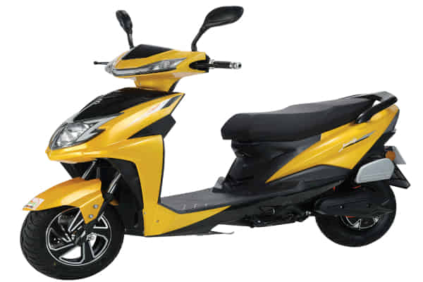 Jaunty in Yellow with Black