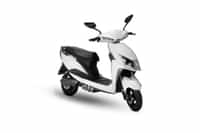 Vegh L25 White colour 