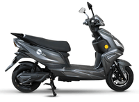 Hop Electric Leo Silver Shine colour  Hop Electric Leo Silver Shine colour