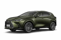 Lexus NX 350h Terrane Khaki colour Cars Lexus NX 350h Terrane Khaki colour Cars