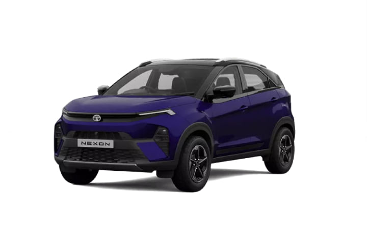 Fearless Purple With Black roof