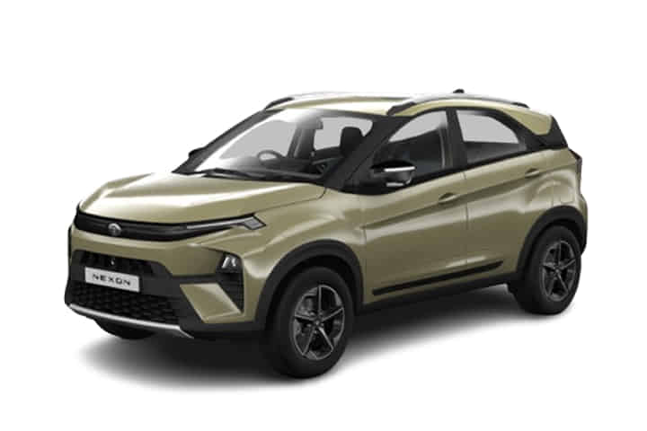 Nexon in Grassland Beige