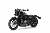 Harley-Davidson Nightster Vivid Black colour  Harley-Davidson Nightster Vivid Black colour