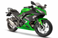 Kawasaki Ninja 300 CANDY LIME GREEN TYPE 3 colour Bikes Kawasaki Ninja 300 CANDY LIME GREEN TYPE 3 colour Bikes
