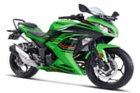 Kawasaki Ninja 300 Lime Green colour Bikes Kawasaki Ninja 300 Lime Green colour Bikes