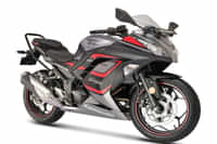 Kawasaki Ninja 300 METALLIC MOONDUST GRAY colour Bikes Kawasaki Ninja 300 METALLIC MOONDUST GRAY colour Bikes