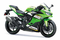 Kawasaki Ninja ZX-4RR Lime Green / Ebony / Pearl Blizzard White colour  Kawasaki Ninja ZX-4RR Lime Green / Ebony / Pearl Blizzard White colour