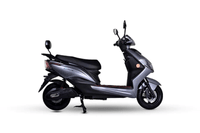GT One 2022-2024 Silver colour Scooters