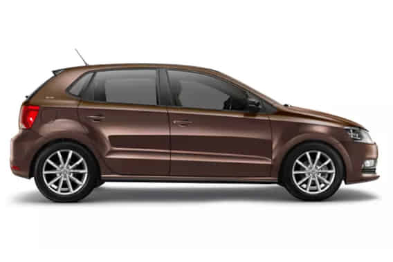 Polo in Toffee Brown