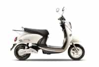 Evolet Polo 2021-2025 White colour Scooters