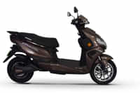 Okinawa PraisePro Mocha Green colour Scooters