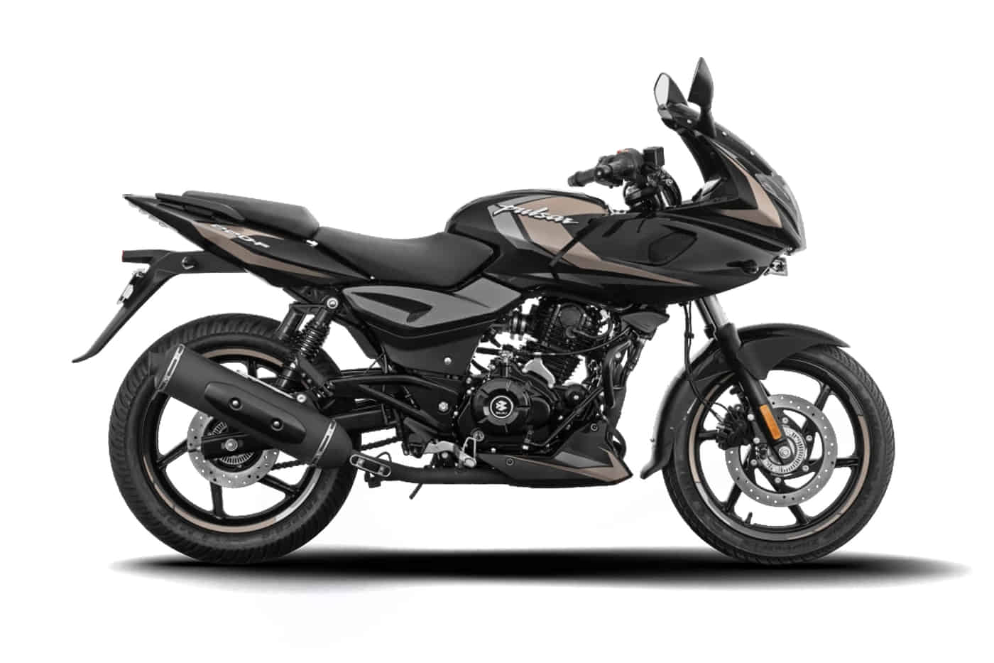 Pulsar 220F in Black Copper Beige Pulsar 220F in Black Copper Beige