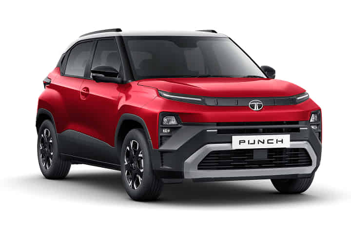 Punch in Bengal Rouge DT Punch in Bengal Rouge DT