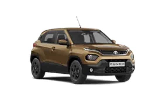 Punch 2021-2026 in Meteor Bronze