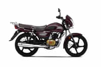 TVS Radeon Royal Purple colour Bikes