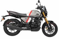 TVS Ronin NIMBUS GREY colour Bikes