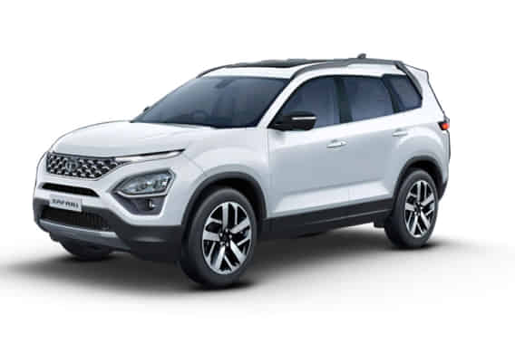 Safari 2022-2023 in Orcus White Safari 2022-2023 in Orcus White