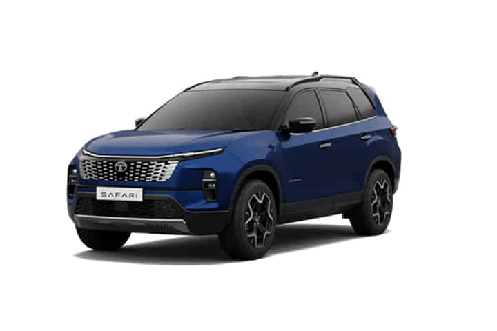 Safari undefined in Royal Blue DT Safari undefined in Royal Blue DT