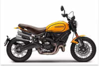 Ducati Scrambler 1100 Giallo Ocra colour  Ducati Scrambler 1100 Giallo Ocra colour