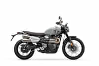 Triumph Scrambler 1200 Ash Grey colour Bikes Triumph Scrambler 1200 Ash Grey colour Bikes