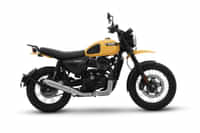 Yezdi Scrambler Yelling Yellow colour Bikes Yezdi Scrambler Yelling Yellow colour Bikes