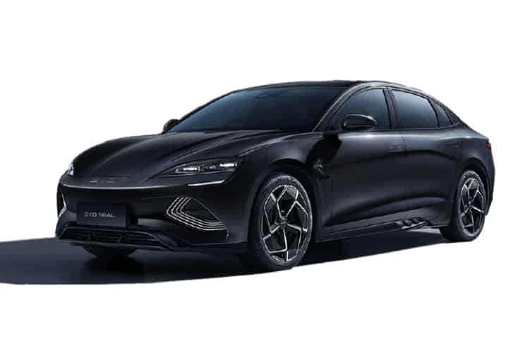 Seal in Cosmos Black