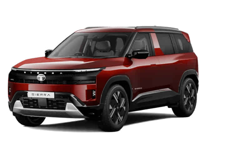 Sierra undefined in Bengal Rouge