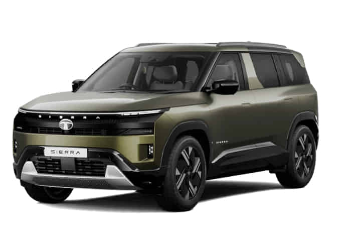 Sierra in Munnar Mist