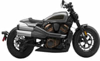 Harley-Davidson Sportster S Billiard Gray colour Bikes Harley-Davidson Sportster S Billiard Gray colour Bikes