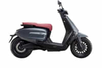 VLF Tennis Grey colour 