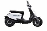 VLF Tennis White colour 